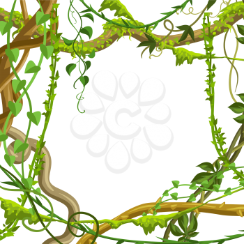 Twisted wild lianas branches frame. Jungle vines plants. Woody natural tropical rainforest.