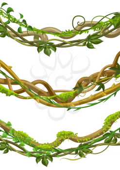 Twisted wild lianas branches set. Jungle vines plants. Woody natural tropical rainforest.