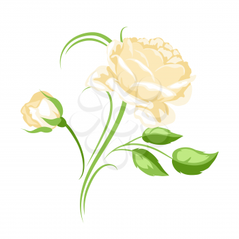 Decorative element with yellow roses. Beautiful flowers, buds and leaves.