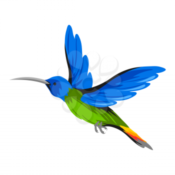 Illustration of hummingbird. Tropical exotic bird isolated on white background.