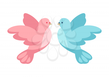 Pink and blue dove. Illustration for Wedding or Valentine day.