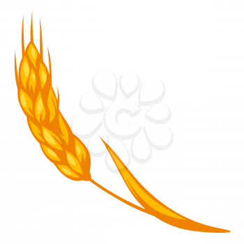 Cartoon illustration of ripe ear wheat. Autumn grain harvest.