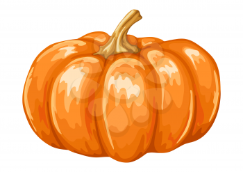 Illustrastion of autumn ripe pumpkin. Harvest icon.