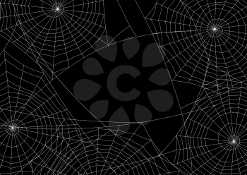 Spider web silhouette Halloween background. Black and white illustration.