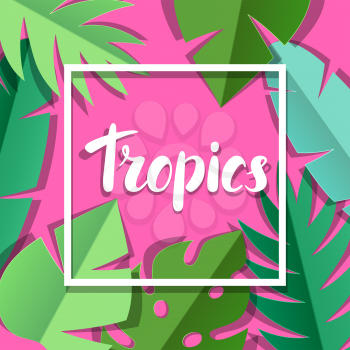 Background with paper palm leaves. Decorative image of tropical foliage and plants.