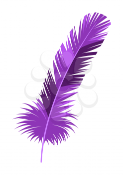 Mardi Gras carnival violet feather. Illustration for traditional holiday or festival.