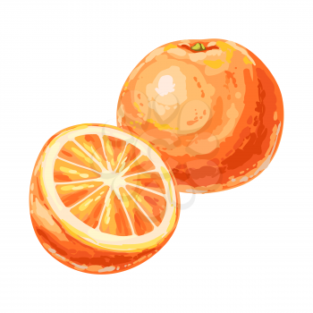 Illustration of ripe orange and slice. Summer fruit in decorative style.
