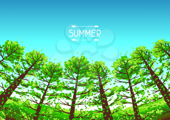 Summer forest background with stylized trees. Seasonal illustration.
