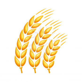 Illustration of ripe wheat ear. Agricultural natural emblem.