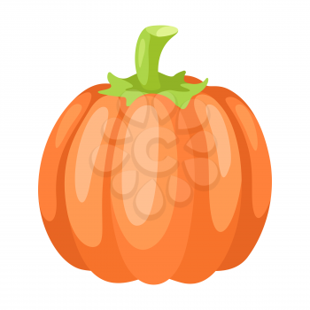 Illustration of stylized pumpkin. Icon in carton style.