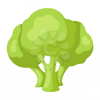 Illustration of stylized broccoli. Icon in carton style.
