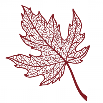 Illustration of autumn maple leaf. Image of foliage with veins.