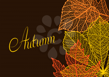 Card with autumn foliage. Background of falling leaves.