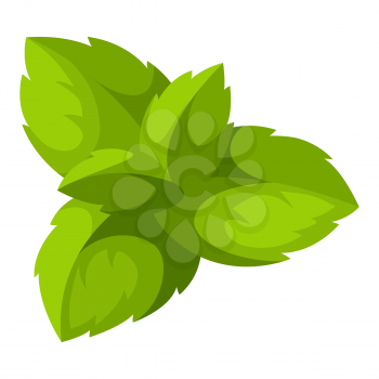 Illustration of mint leaves. Adversting icon or image for industry and business.