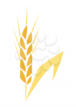 Illustration of ripe wheat ear. Agricultural stylized plant. Harvesting season item.