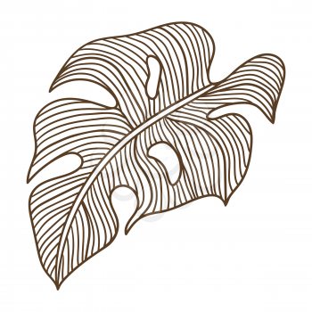 Illustration of stylized monstera palm leaf. Decorative image of tropical foliage and plant. Linear texture.