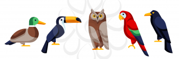 Set of stylized birds. Image of wild birds in simple style. Vector icons.