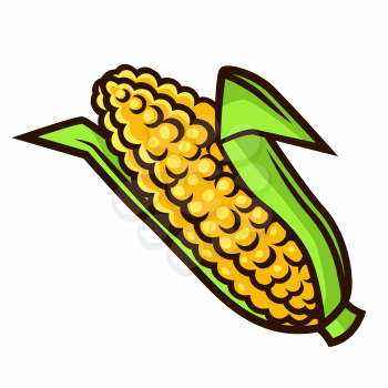 Illustration of fresh ripe corn. Autumn harvest of vegetables. Food item for farms, markets and shops. Icon or promotional image.