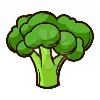 Illustration of fresh ripe broccoli. Autumn harvest of vegetables. Food item for farms, markets and shops. Icon or promotional image.