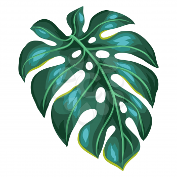 Illustration of stylized monstera palm leaf. Decorative image of tropical foliage and plant.