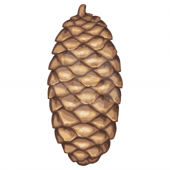 Illustration of spruce cone. Element for Christmas and New Year design.