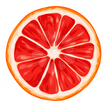 Stylized illustration of grapefruit. Image for design and decoration. Object or icon in hand drawn style.