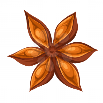 Stylized illustration of star anise. Image for design and decoration. Object or icon in hand drawn style.