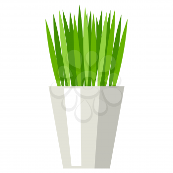 Stylized illustration of grass in pot. Image for design and decoration. Object or icon in abstract style.