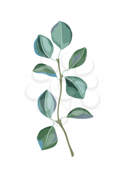 Illustration of poplar branch and green leaves. Spring or summer stylized foliage. Seasonal plant image.