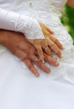Hands of newlywedses. Element of design.