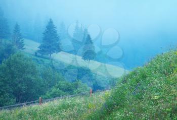 Fog in mountain. Nature composition.