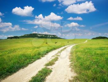 Lane in meadow and deep blue sky. Nature design.