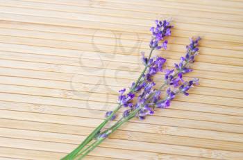 Lavender on wooden texture. Element of design.