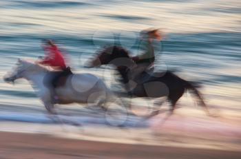 Horse moving on the sea. Speed motion scene.