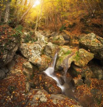 Autumn landscape. Composition of nature. Waterfall river into canyon.