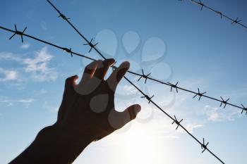 Hand of prison and sky background. Conceptual scene.