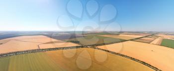 Aerial panorama of wheat meadow. Nature composition.