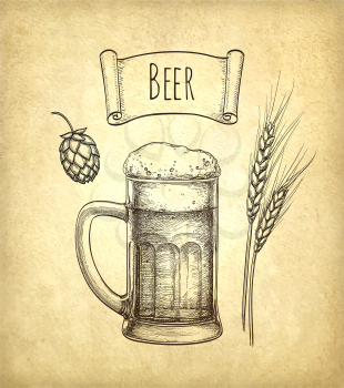 Hops, malt and beer mug on old paper background. Hand drawn vector illustration. Retro style.