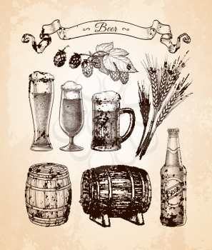 Beer set. Vector illustration of glasses and mug, hops, malt, barrels and bottle. Old paper background.