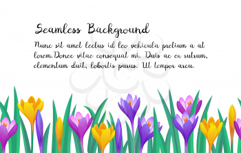 Floral seamless background. Banner template. Spring and summer design element.
