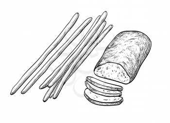 Ciabatta and bread sticks. Isolated on white background. Hand drawn vector illustration. Retro style.