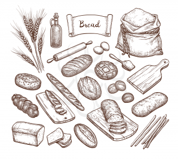 Bread and Ingredients. Big set. Hand drawn vector illustration. Isolated on white background. Vintage style.
