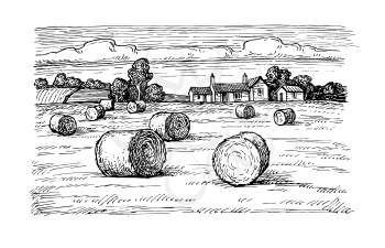 Rural landscape with hay bales. Wheat field and farm. Countryside scenery. Retro style.