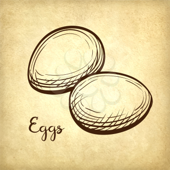 Eggs. Hand drawn vector illustration on old paper background. Vintage style.