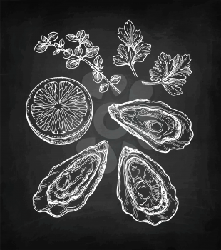 Oysters set. Chalk sketch on blackboard background. Hand drawn vector illustration. Retro style.