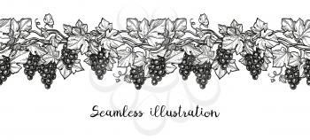 Seamless vector illustration of grapes. Hand drawn ink sketch isolated on white background. Retro style.