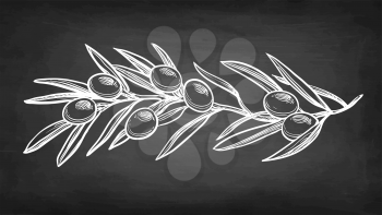 Chalk sketch of olive branch on blackboard background. Hand drawn vector illustration. Retro style.
