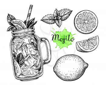 Mojito drink and ingredients. Retro style ink sketch isolated on white background. Hand drawn vector illustration.