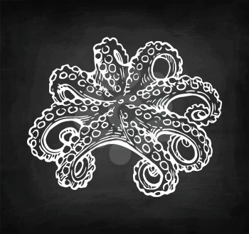 Octopus chalk sketch on blackboard background. Hand drawn vector illustration of seafood. Retro style.