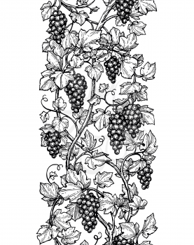 Seamless illustration of vertical grape vine. Hand drawn vector sketch.